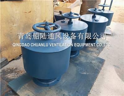 C-DN300