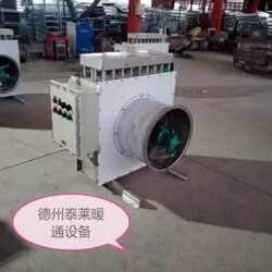 d20电热暖风机d60防爆暖风机价格